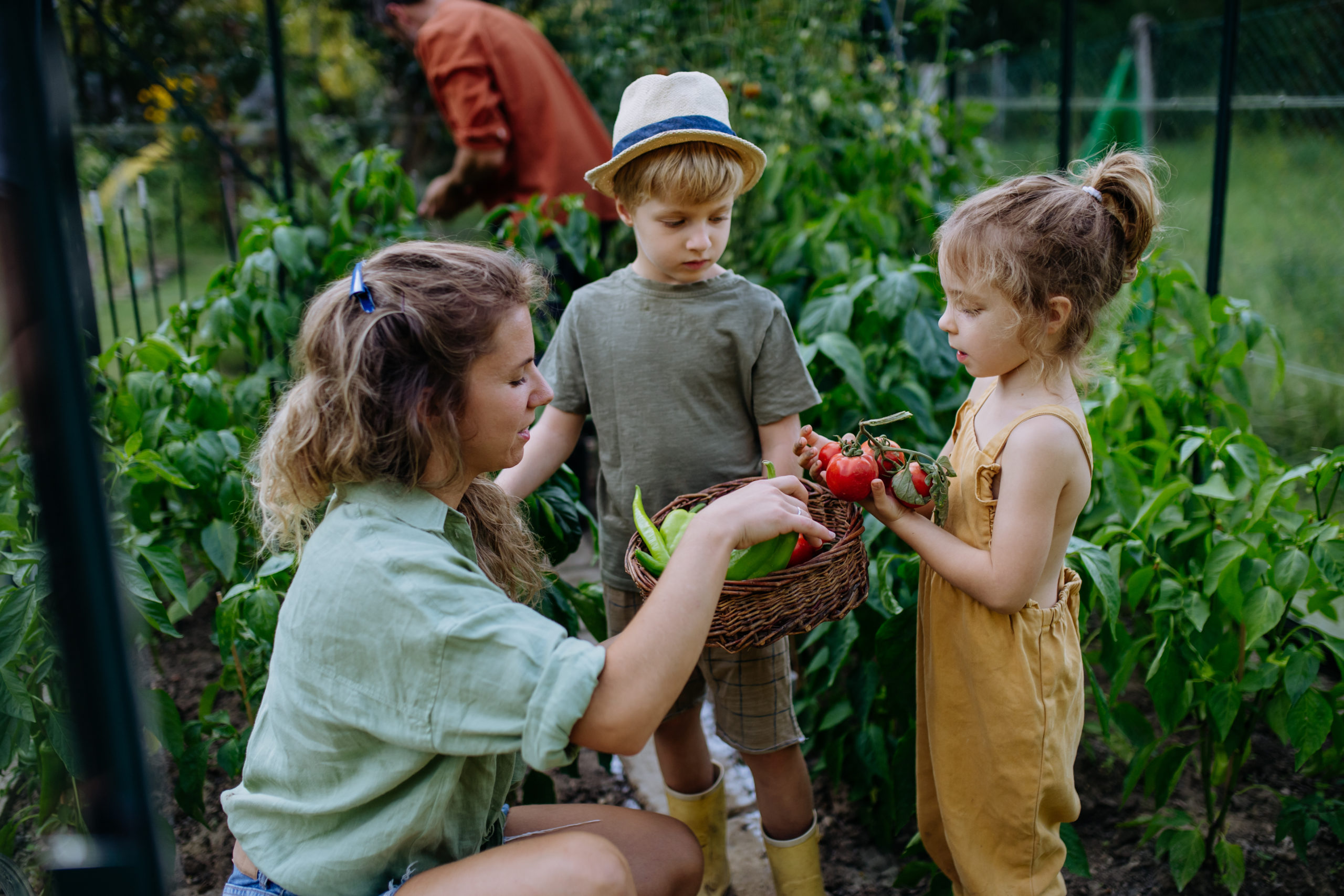 Gewächshaus für den Kindergarten Familie mit frischer Ernte in einem Gewaechshaus scaled Familie mit frischer Ernte in einem Gewaechshaus scaled